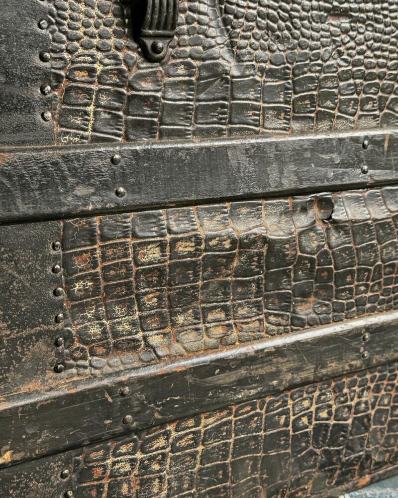 ‘Crocodile Skin’ Steamer Trunk c19th - Image 12