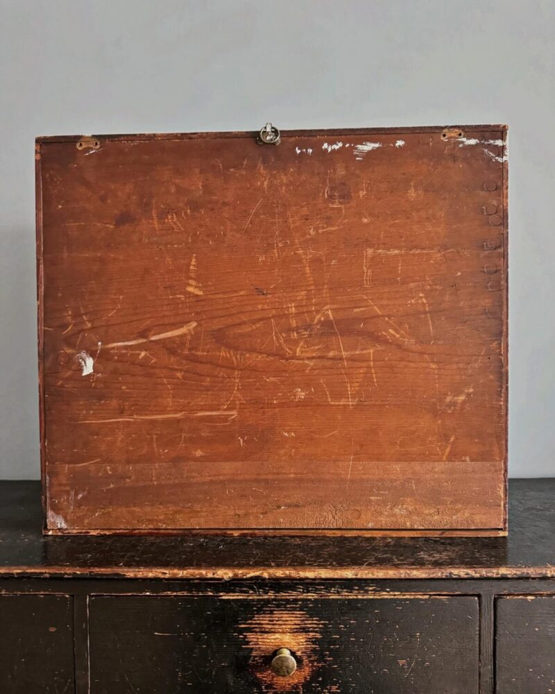 Victorian Entomology Collection Display - Image 10