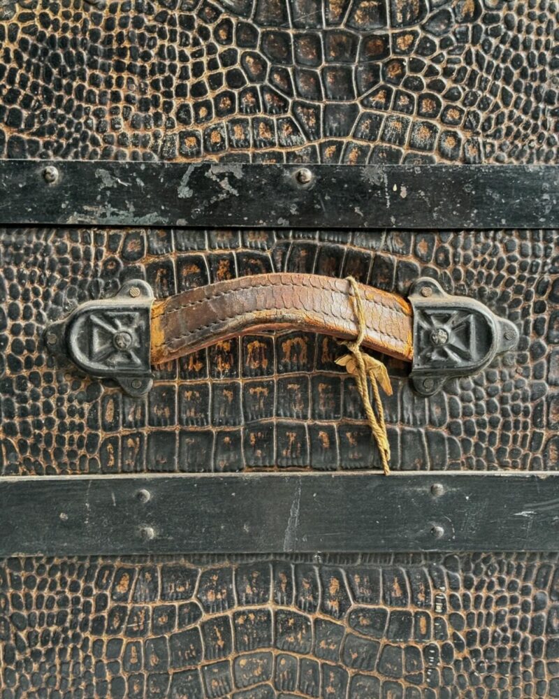 ‘Crocodile Skin’ Steamer Trunk c19th - Image 6