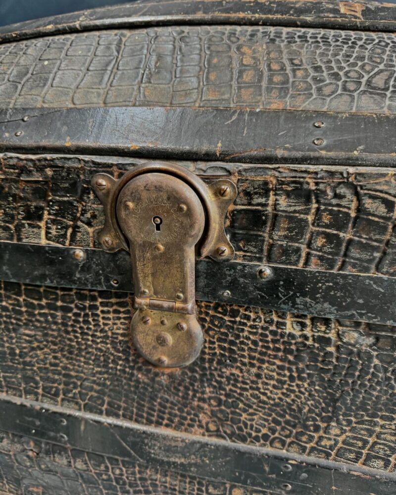 ‘Crocodile Skin’ Steamer Trunk c19th - Image 10