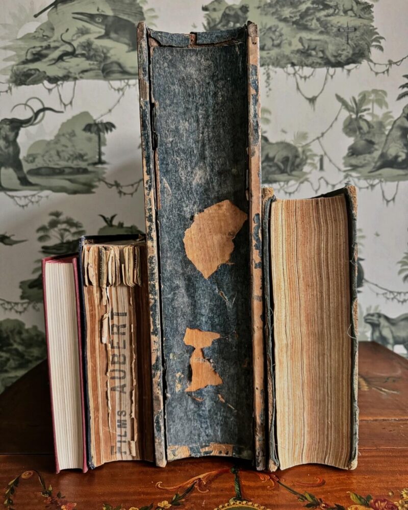 Antique French Book Safe - Image 7