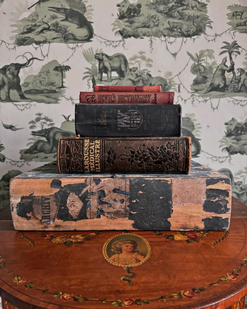 Antique French Book Safe - Image 6