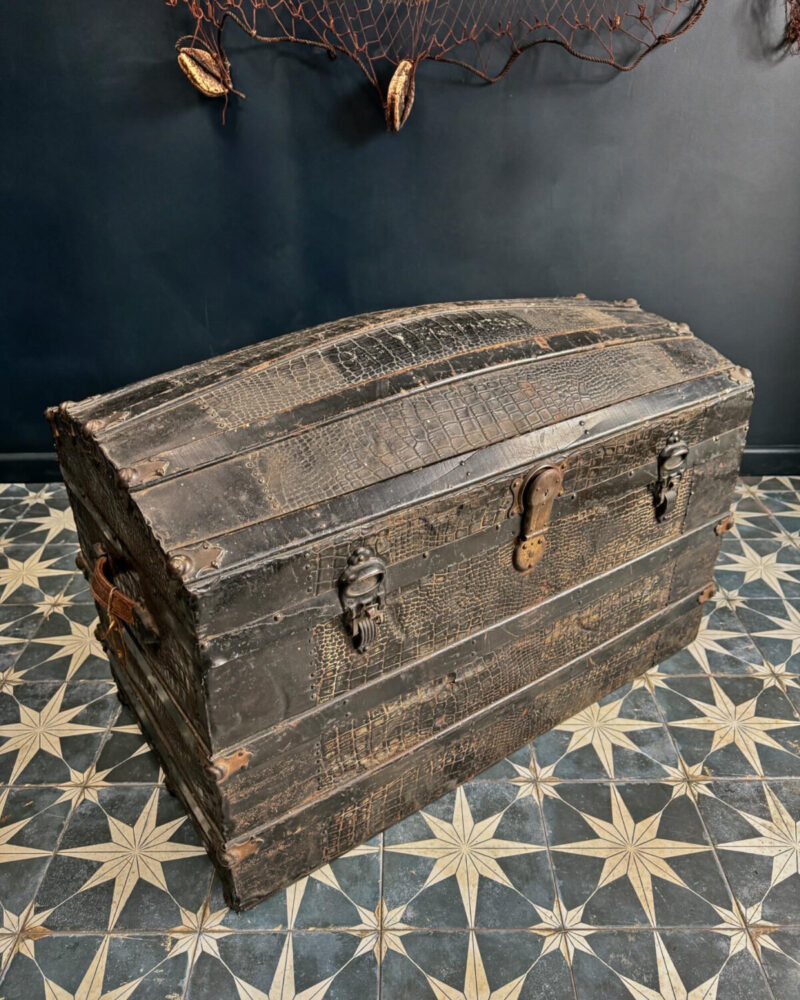 ‘Crocodile Skin’ Steamer Trunk c19th - Image 7
