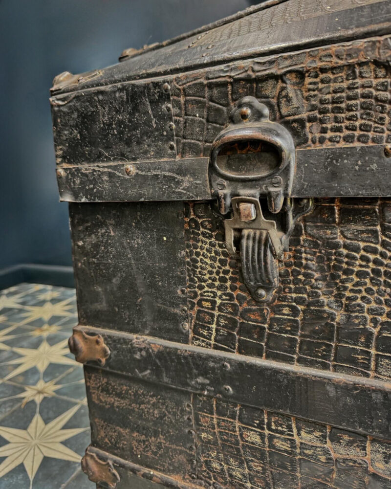‘Crocodile Skin’ Steamer Trunk c19th - Image 8