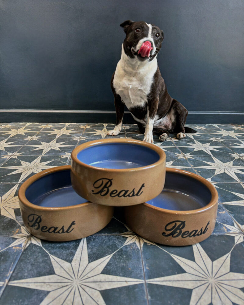 Vintage Stoneware ‘Beast’ Dog Bowls