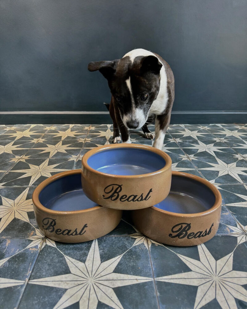 Vintage Stoneware ‘Beast’ Dog Bowls - Image 2