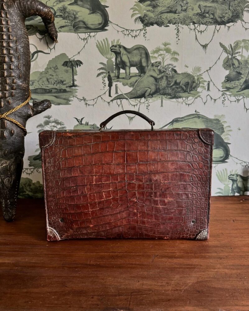 Crocodile Leather Case - Image 2