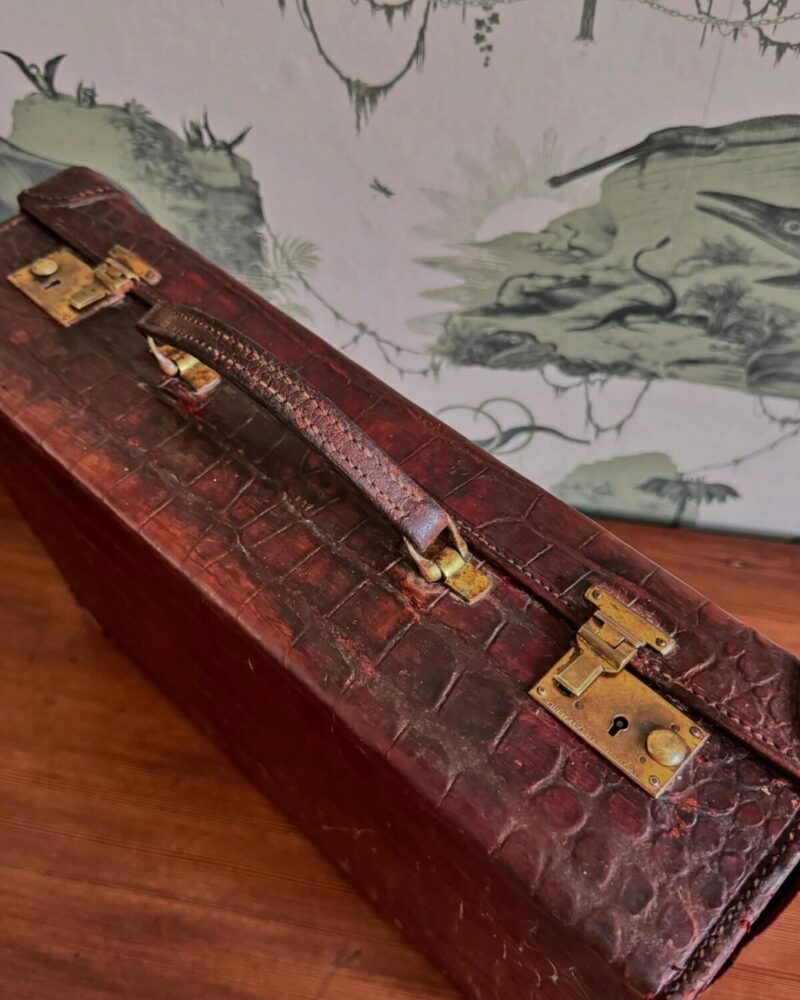 Crocodile Leather Case - Image 10