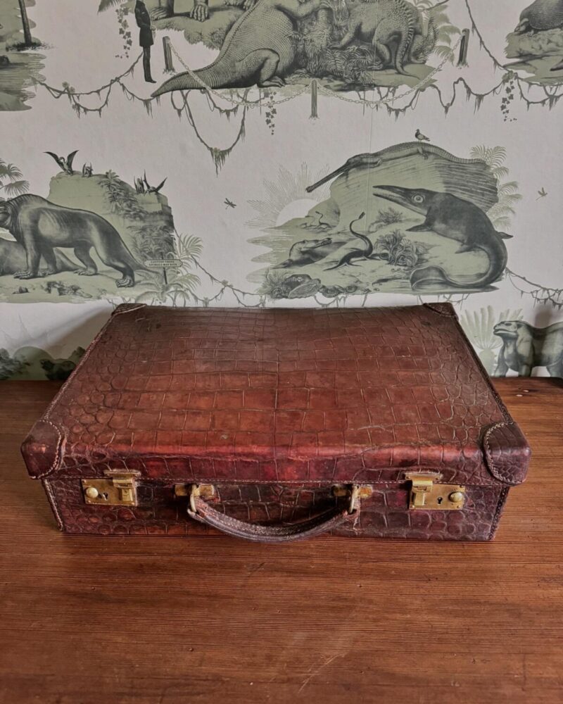 Crocodile Leather Case - Image 7