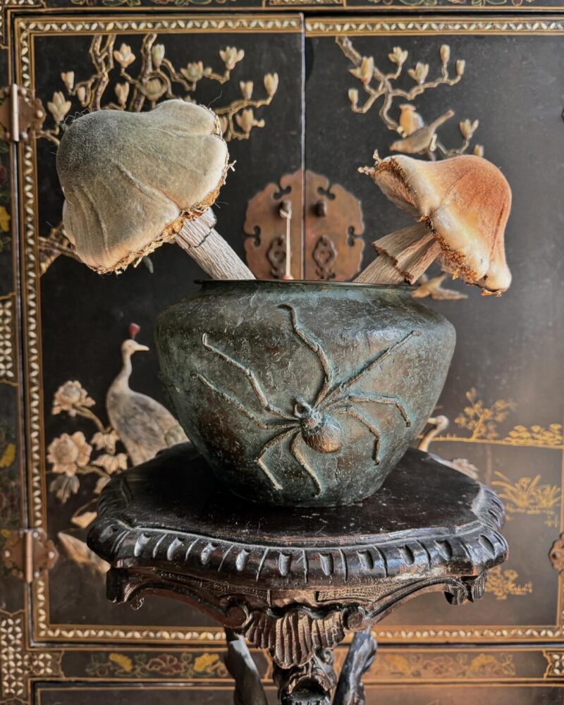 Bronze Spider Planter - Image 7