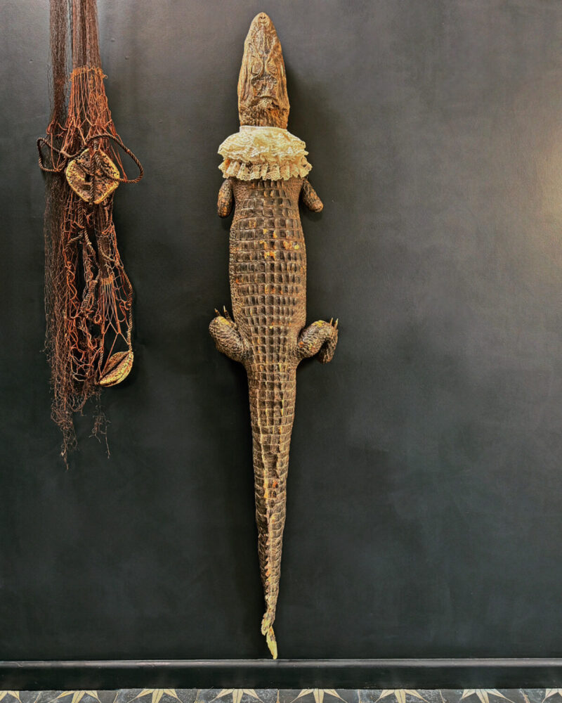 Victorian Taxidermy Crocodile