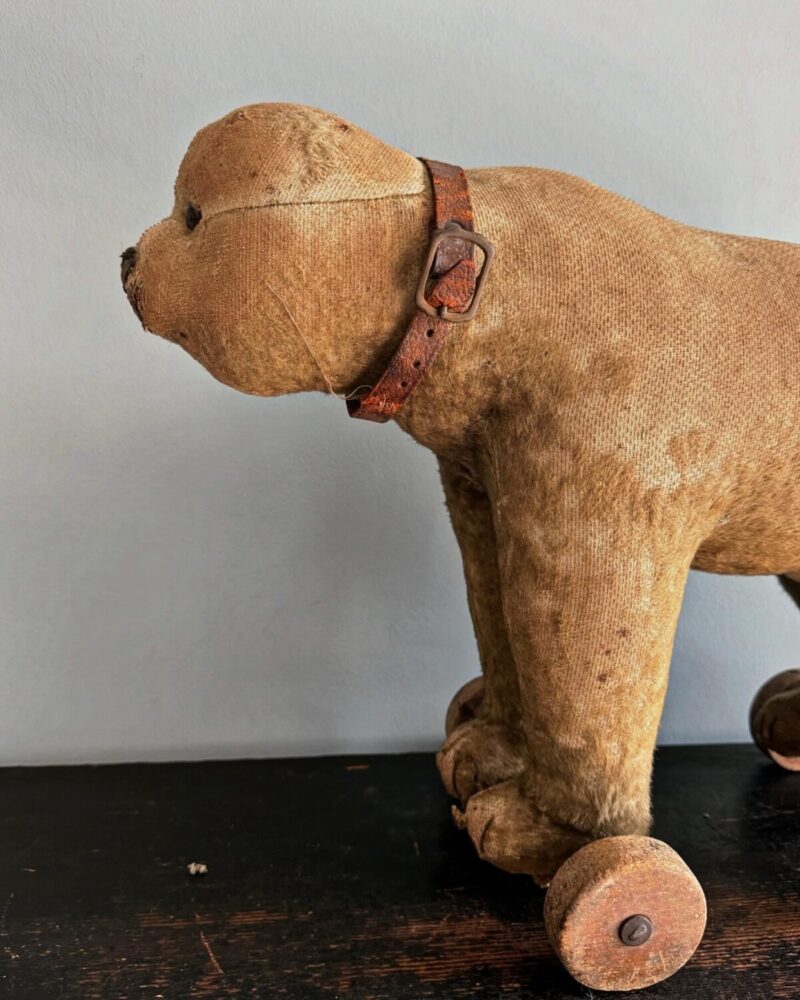 Steiff Pull Along ‘Growler’ Bear - Image 7