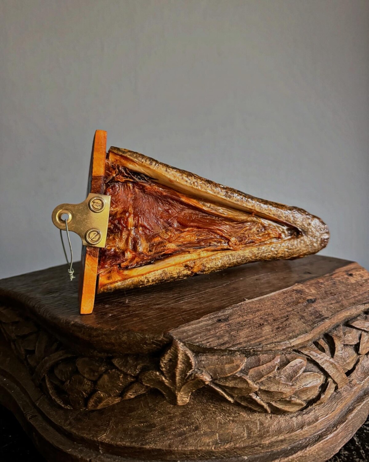 Taxidermy Crocodile Head Shelf - Image 11