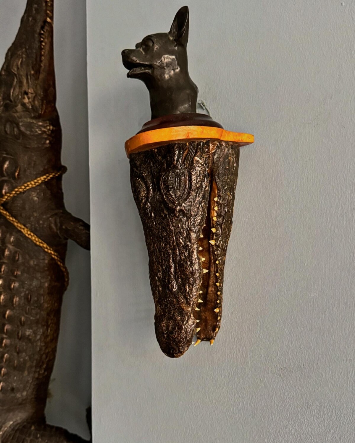 Taxidermy Crocodile Head Shelf