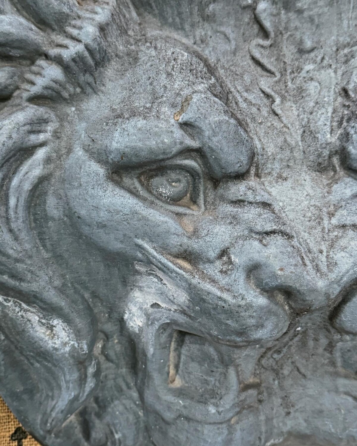 Large Zinc Lions Head - Image 6