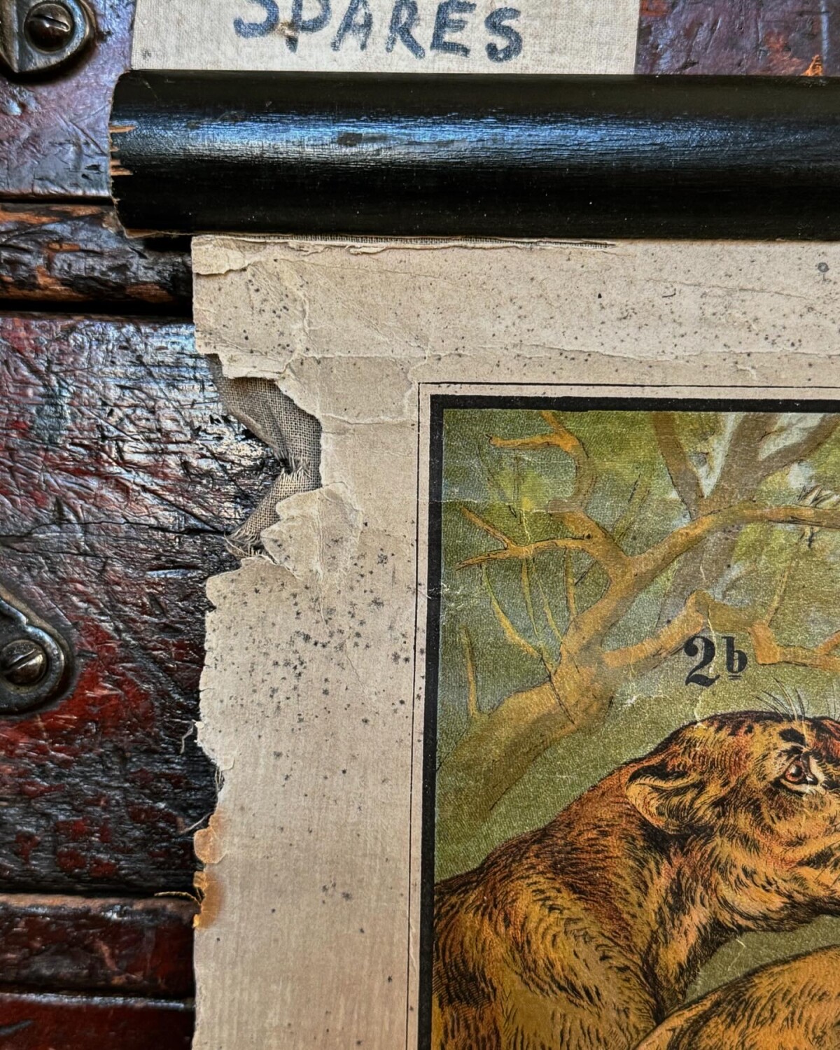 African Animals Chromolithograph Teaching Aid - Image 11