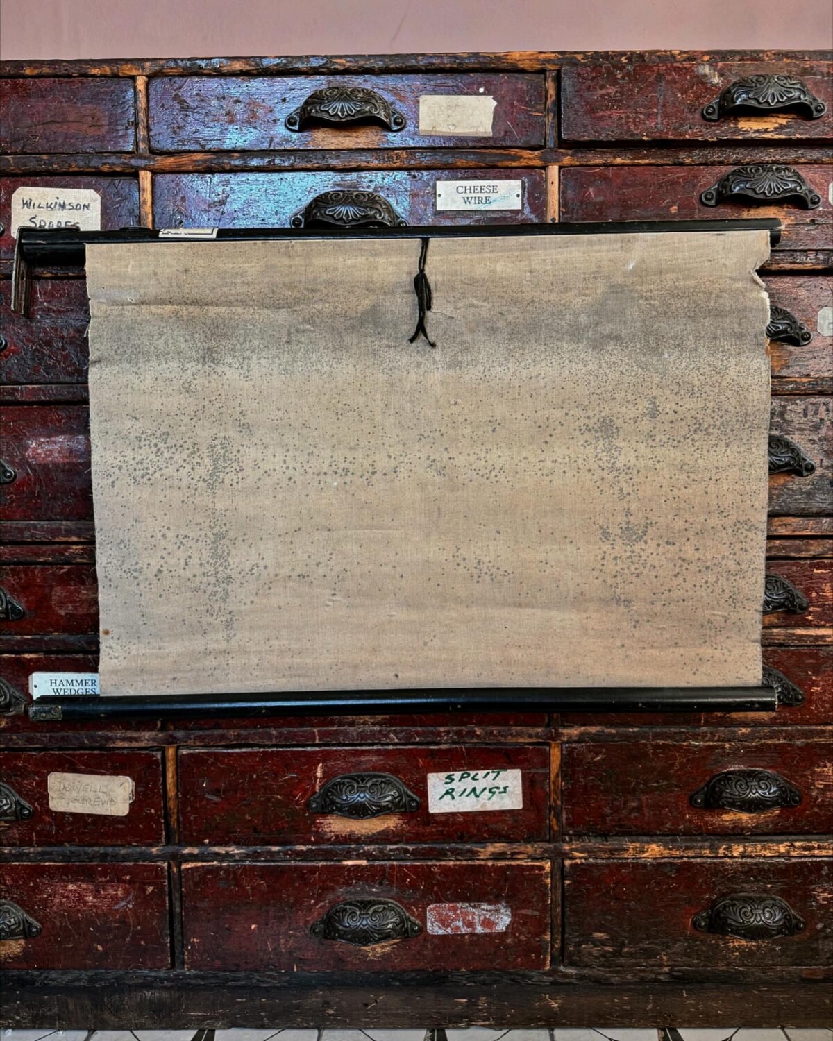 African Animals Chromolithograph Teaching Aid - Image 17