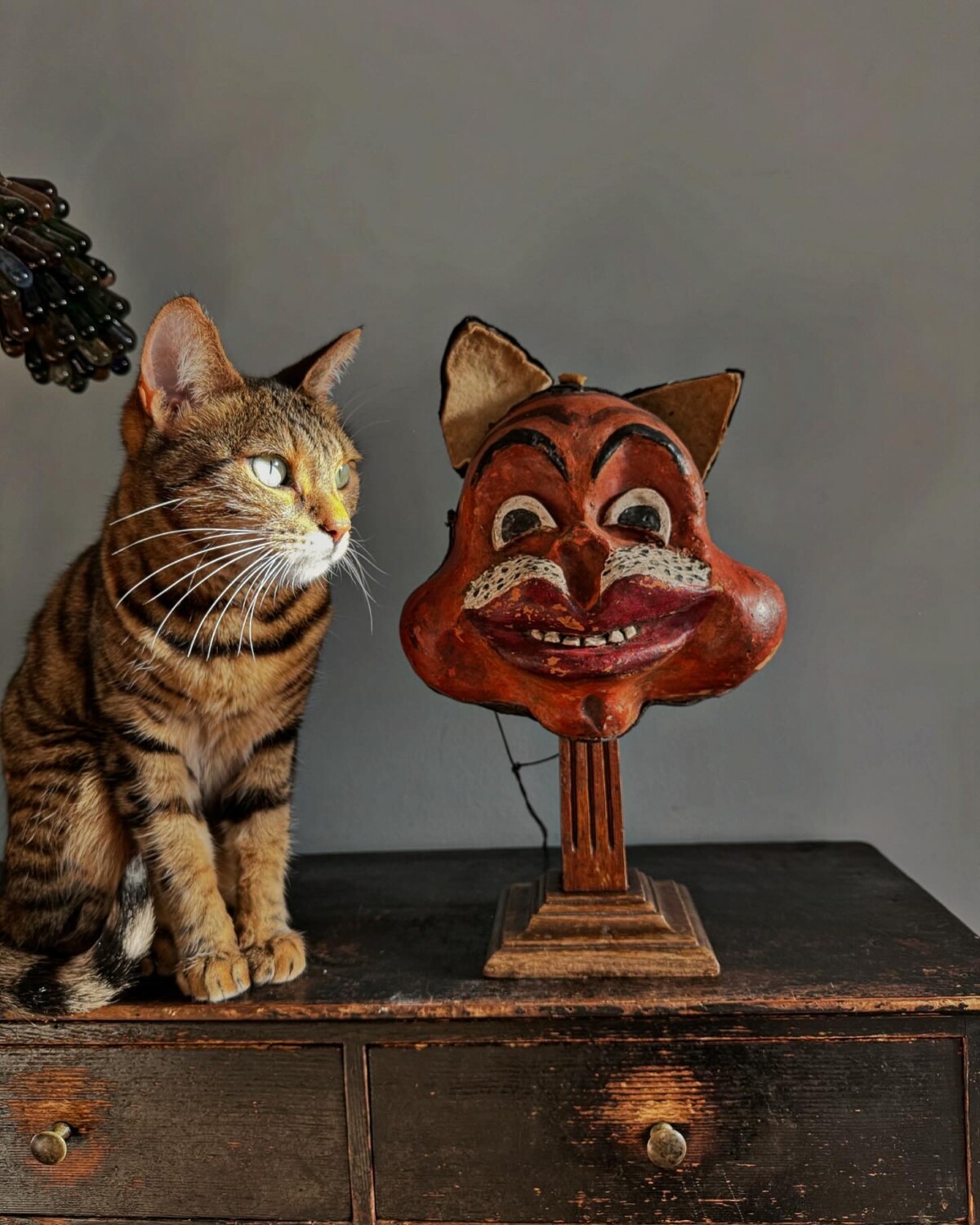 Cat Mask & Stand