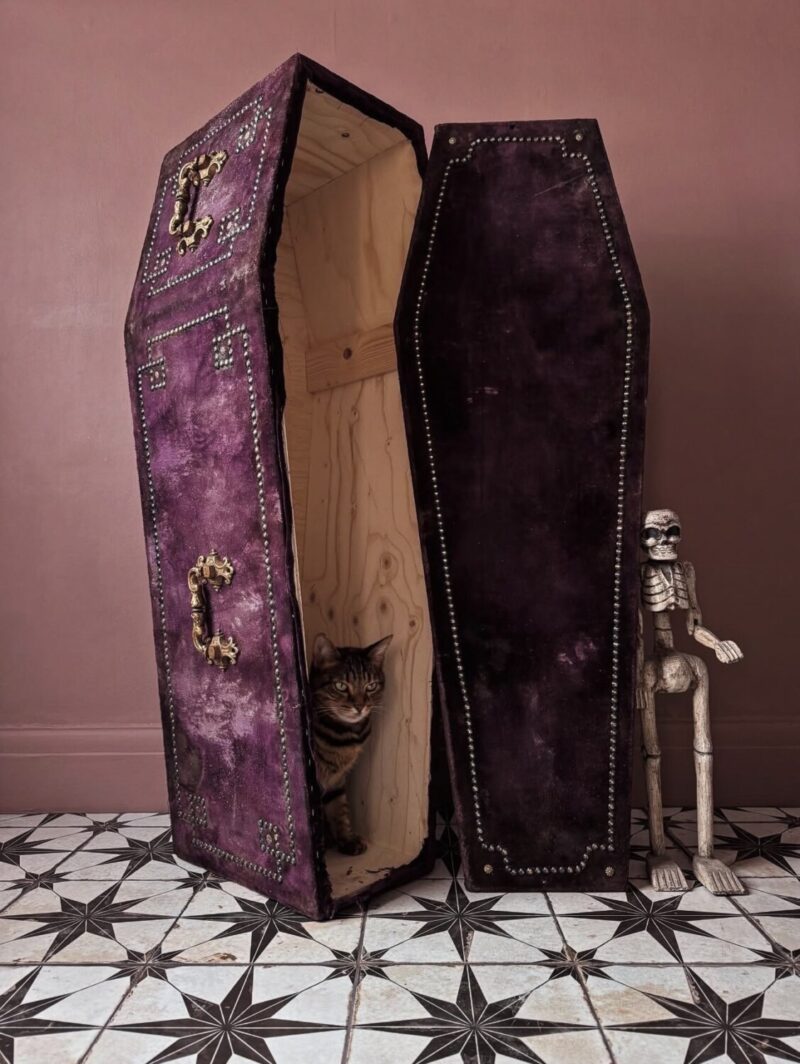 Purple Velvet Coffin